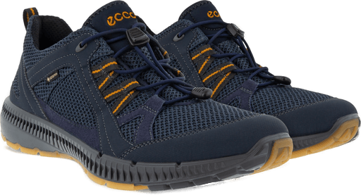 Ecco Terracruise II Gore-Tex