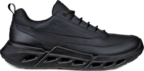 Ecco Biom 720 Black