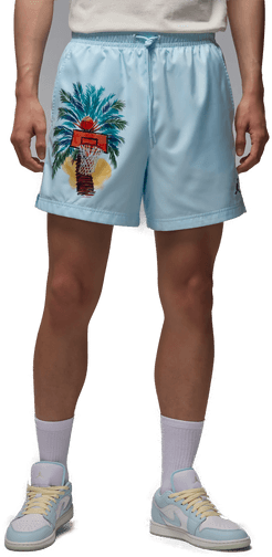 Jordan Essentials herreshorts - Blå