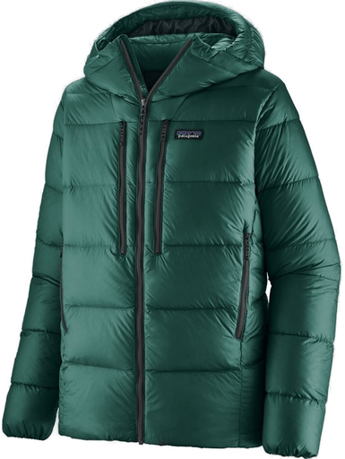 Patagonia M's Fitz Roy Down Hoody