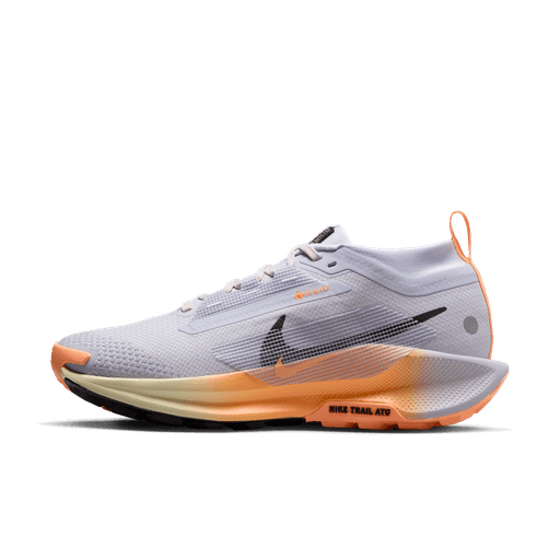 Nike Pegasus Trail 5 GORE-TEX dame