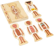 Bigjigs Wooden Anatomy Puzzle - Girl