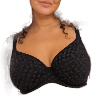 Elomi Bazaruto Plunge Bikini Top