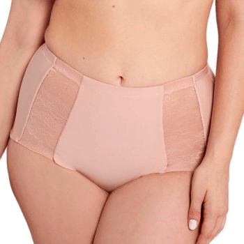 Sans Complexe Perfect Shape Shaping Brief Lysrosa