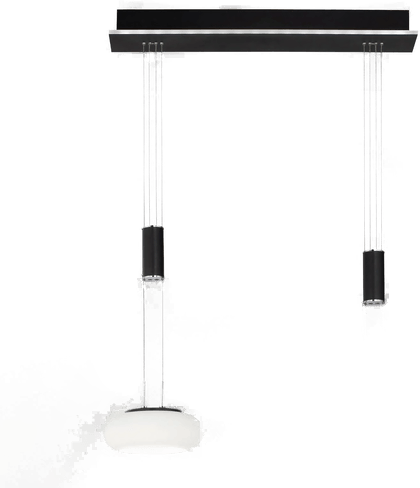 Qsmarthome Q-ETIENNE LED-hengelampe