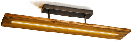 Trio Lighting Brad LED-taklampe