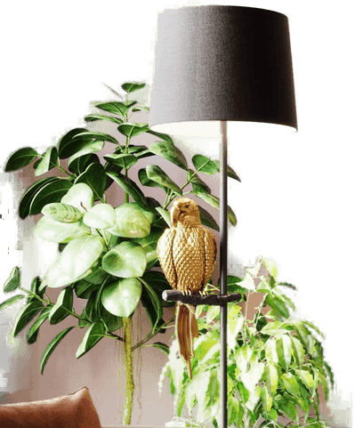 Kare gulvlampe Animal Parrot