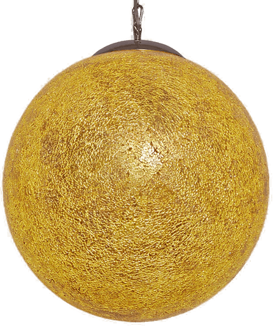 Holländer Narziso hengelampe, rav