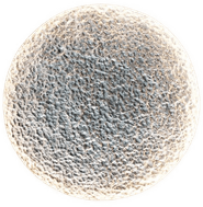 Holländer LED-vegglampe Luina, Ø 80 cm