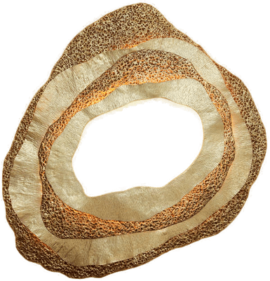 Holländer Coral LED-vegglampe