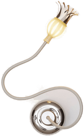 Serien Lighting Poppy Vegglampe