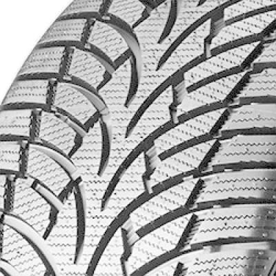 Nankang Winter Activa SV-3 255/40 R20