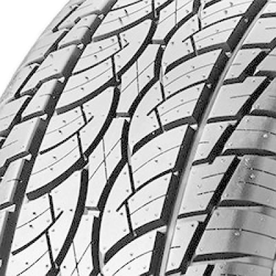 Nankang Utility SP-7 295/30 ZR22 103Y XL