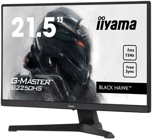 Iiyama G-Master G2250HS-B1 21" skjerm