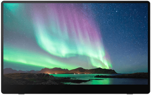 Ricoh 150BW 15,6" OLED-skjerm