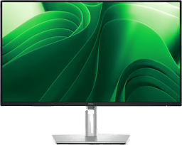 Dell Pro Plus P2425d 24" 2560x1440 100Hz