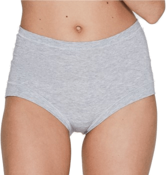 JBS of Denmark Truser Bamboo Maxi Brief Lysgrå X-Small