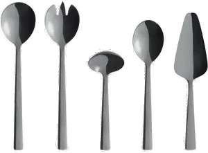 Aida Raw bestikksett 5 deler Sort