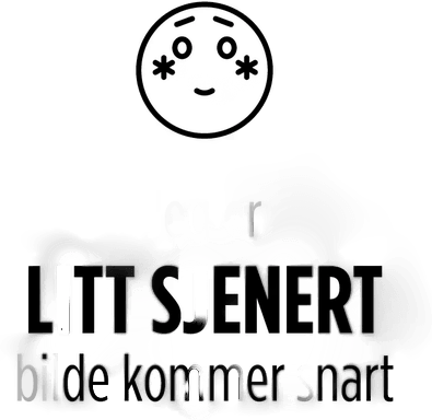 Stelton Maya Dessertskje 16,5 cm