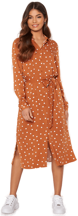 Vila Dania Belt Shirt Dress