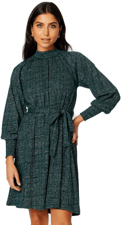 Pieces Dalilah LS Belt Dress