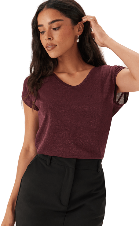 Only Onlsilvery S/S V Neck Top