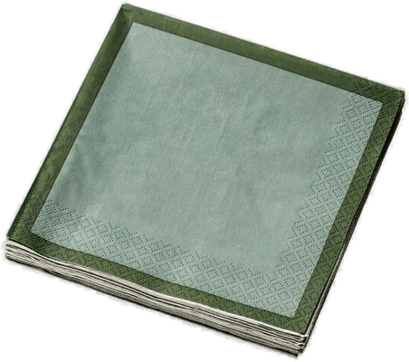 Iittala papirservietter 33x33 cm 20 stk skogsgrønn/mint