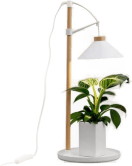 Airam Lily Plantebelysning 9W 550lm