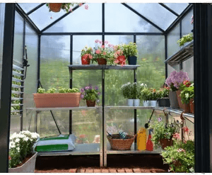 Canopia By Palram Glory 244 x 253 Grå