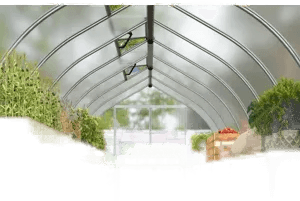 Canopia By Palram Bella 244 x 244 cm