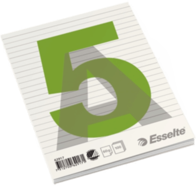 Esselte Linjert Notatblokk A5