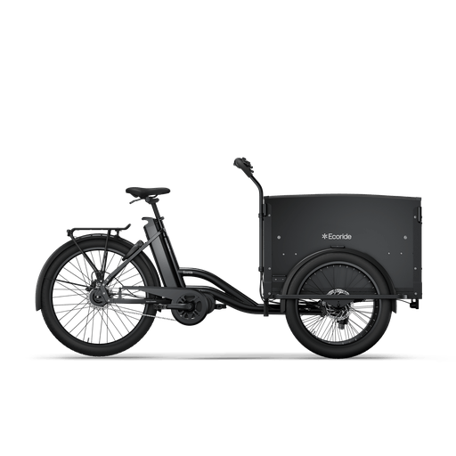 Ecoride c401-BK30