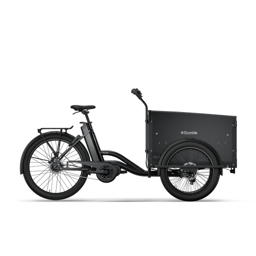 Ecoride c401-BK31