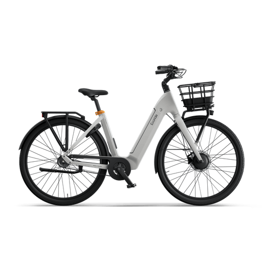 Ecoride Ambassador 4 Hubmotor