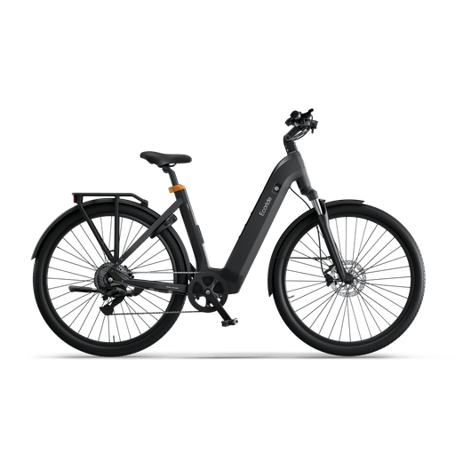 Ecoride Tripper 4-hubmotor low step