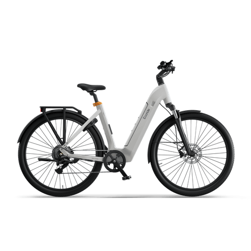 Ecoride Tripper 4 Hubmotor Low-step