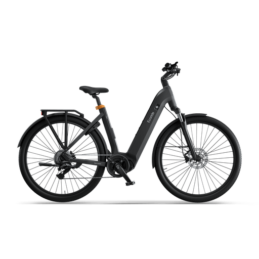 Ecoride Tripper 4 Midmotor Low-step