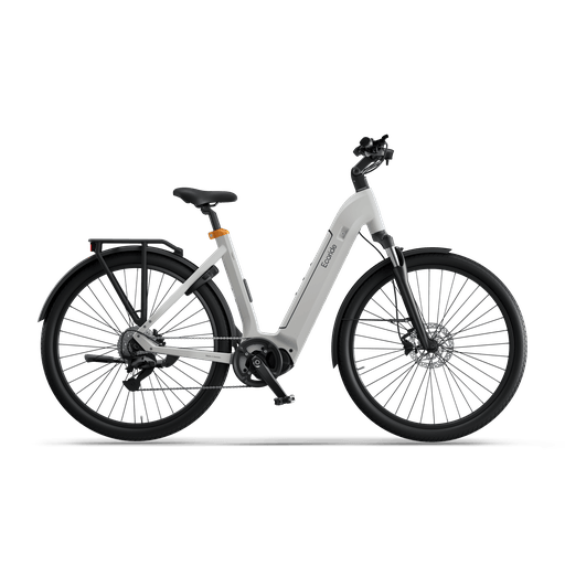 Ecoride Tripper 4 Midmotor Low-step