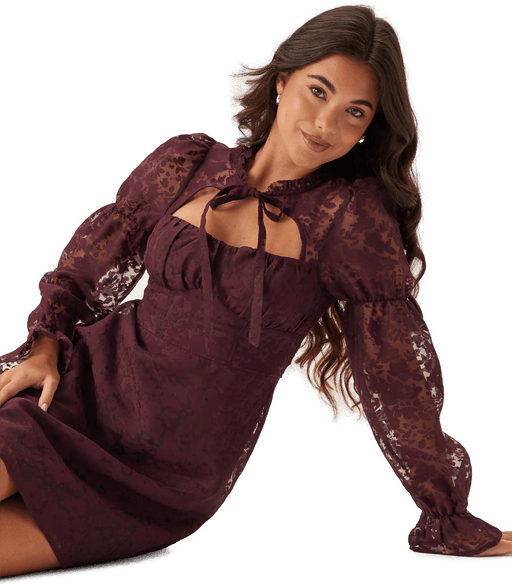 Chiara Forthi Corset Dress