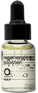 Oway Regenerating Booster