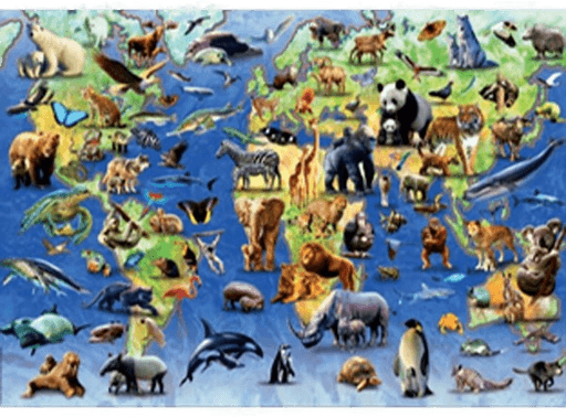 Educa 500 Utrydningstruede Arter