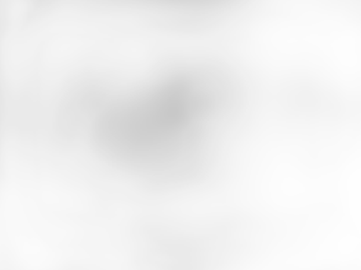 Taurus Riskoker 1,8L 700W