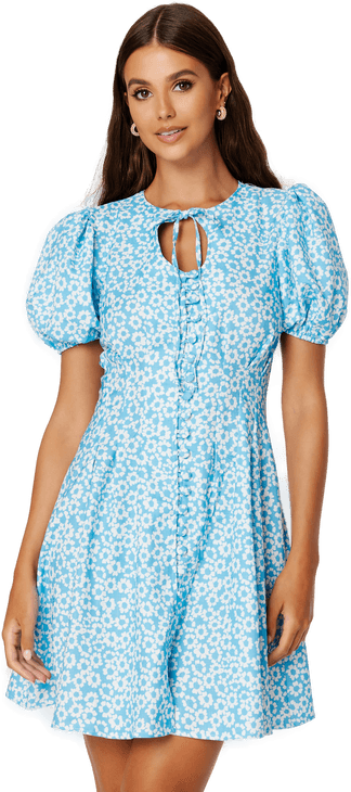 Trendyol Allis Puff Sleeve Dress