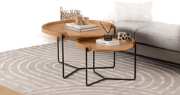 Homitis Manisha Settbord