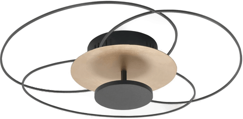 Highlight LED-taklampe Fiore, svart/gull