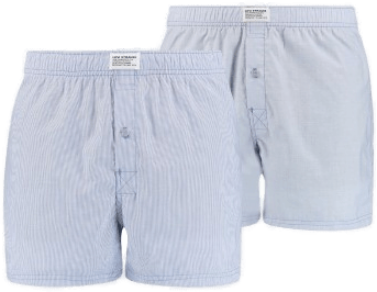 Levis 2P Woven Boxer Lysblå Medium