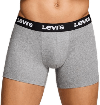 Levis Repeat Logo Boxer Brief Grå X-Large