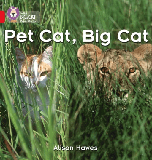 Pet Cat, Big Cat av Alison Hawes