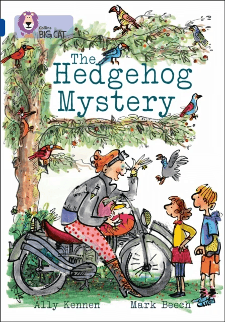 The Hedgehog Mystery av Ally Kennen