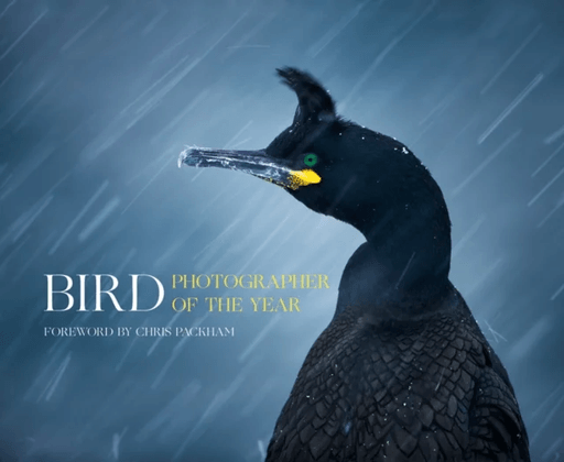 Bird Photographer of the Year av Bird Photographer of the Year